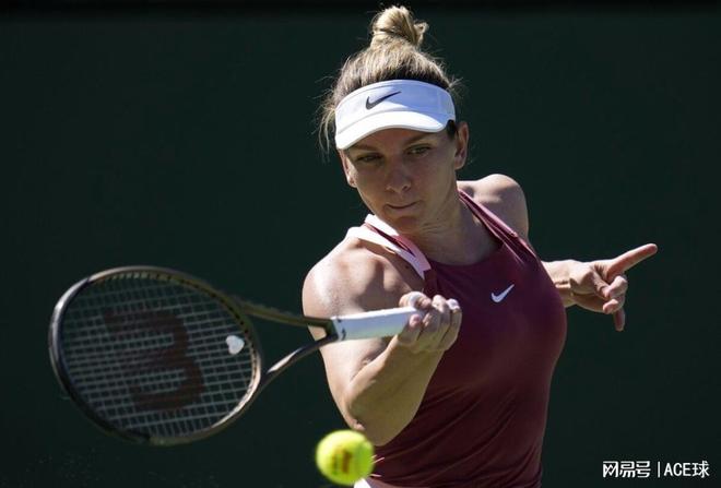 可以看到 可以看到