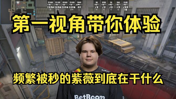 核心原因
